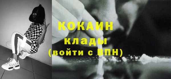 стаф Козельск