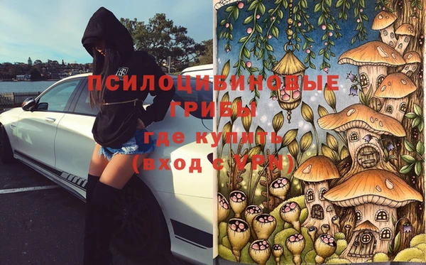 марки nbome Козловка