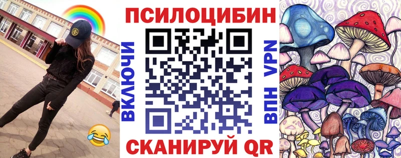 Купить Вятские Поляны Галлюциногенные грибы Cubensis